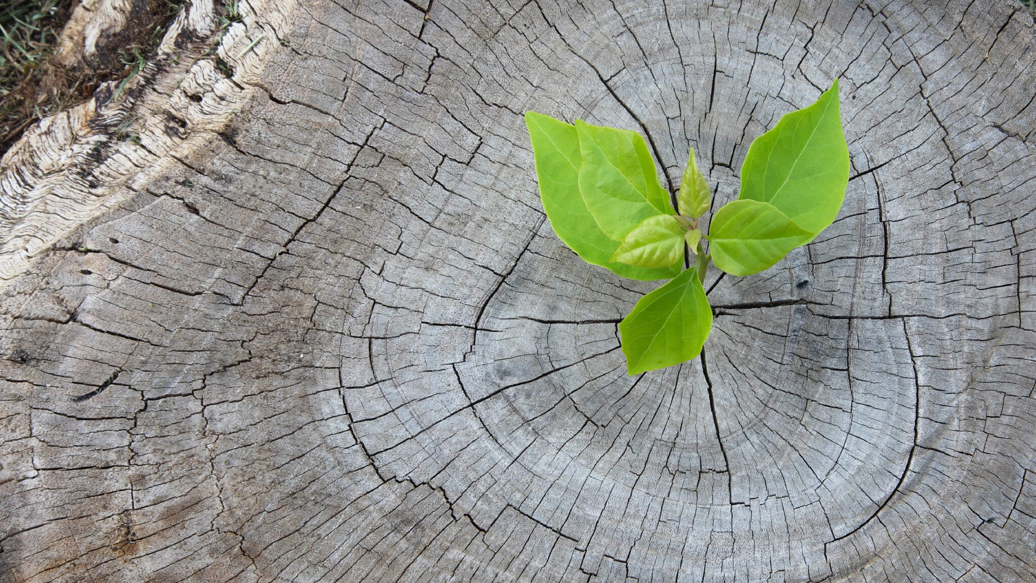 La lutte pour la protection du climat est plus qu'un simple objectif en soi.